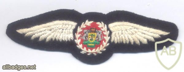 כנפי הסמכה לטייסים של כוח ההגנה של ונדה, 1979-1994 img70943
