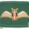 KENYA Air Force pilot wings
