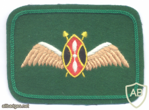 כנפי טייס של חיל האוויר של קניה img70946