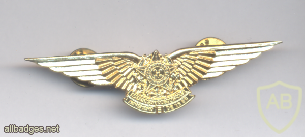BRAZIL Air Force pilot qualification wings img70945