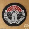 Elephant Squadron - 103rd Squadron