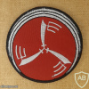Reversible Sword Squadron - 124th Squadron