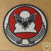 The Bat Squadron - 119th Squadron