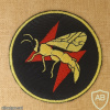 Wasp Squadron - Squadron- 113