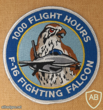 Generic patch F-16 1000 flight hours img71114
