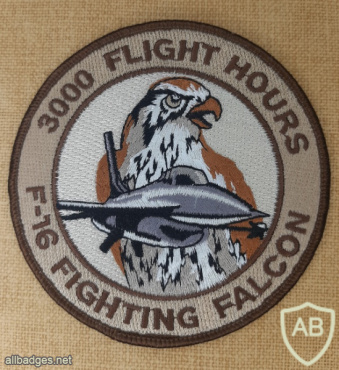 Generic patch F-16 3000 flight hours img71112
