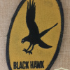 Black Hawk helicopter - Owl img71126
