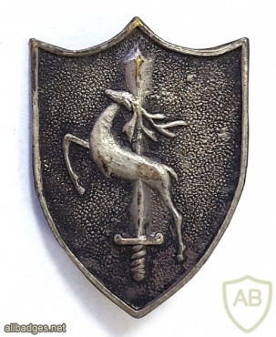 Unidentified badge- 89 img71204