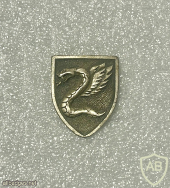 35th Paratroopers Brigade - Silver img71374