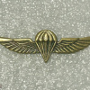 Parachute wings img71380