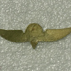 Parachute wings img71381