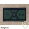 Israel flag - Iron swords img71657