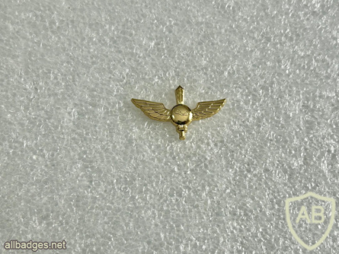 Unidentified badge- 80 - Golden img71835
