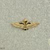 Paratroopers Reconnaissance Company - Golden