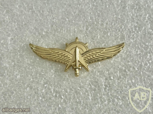 Unidentified badge- 17 - Golden img71999