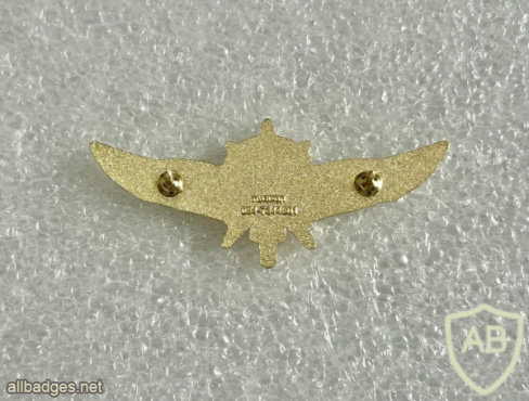 Unidentified badge- 17 - Golden img71998