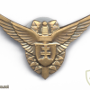 SLOVAKIA Air Force Pilot qualification wings badge, current img72143