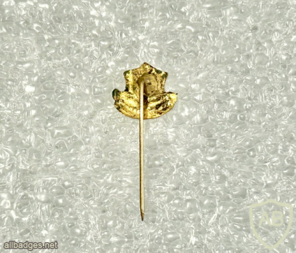 Israel Defense Forces img72559