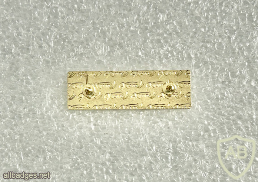 Decoration of volunteering for the brigade img72544