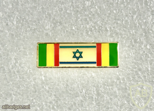 Decoration of volunteering for the brigade img72543