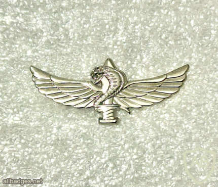 Paratroopers Warrior img72681