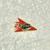 402nd Reshef Battalion img72694