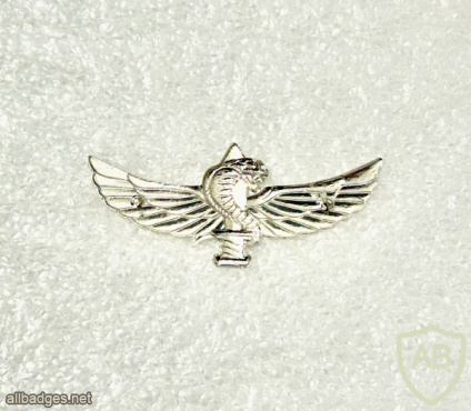 Paratroopers Warrior img72682