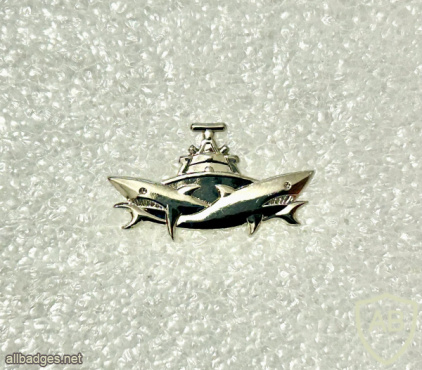 לוחם ספינת דבורים img72687