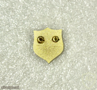 תזמורת צה"ל img72705