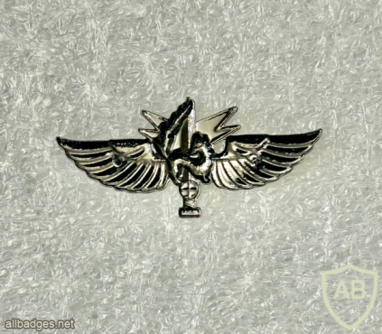 גדס"ר גבעתי ( גדוד סיור גבעתי ) img72762