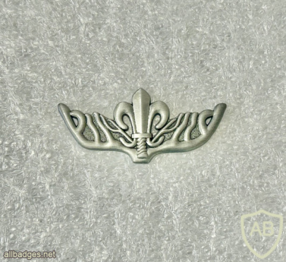 יחידת אגוז- 621 img72754