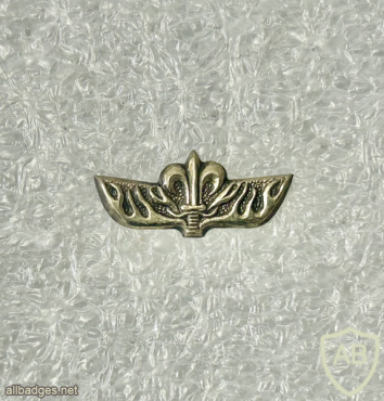 יחידת אגוז- 621 img72752