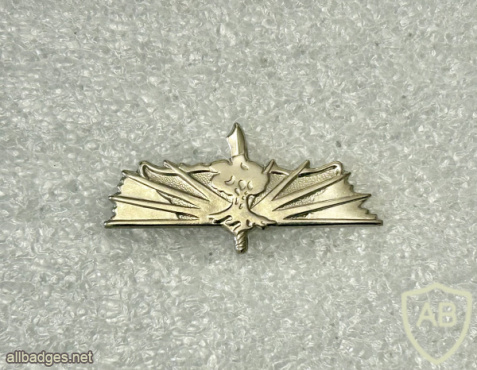 Golani Engineering Corps Company img72750