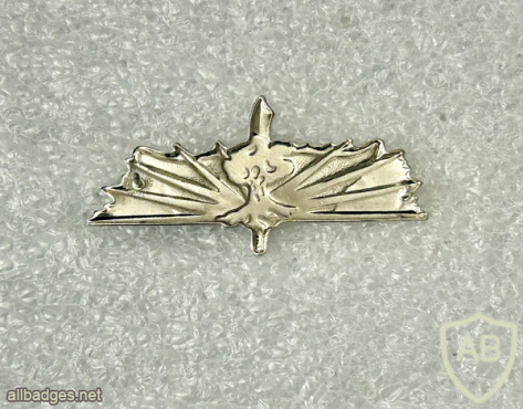 Golani Engineering Corps Company img72751