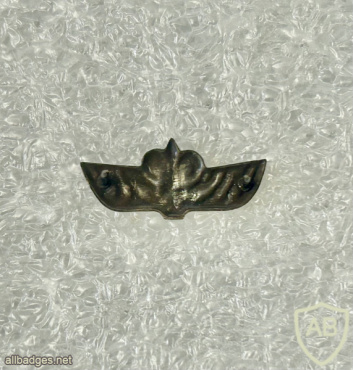 יחידת אגוז- 621 img72753