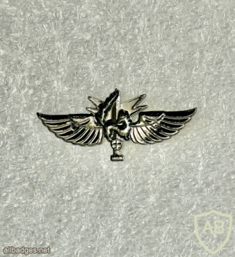 גדס"ר גבעתי ( גדוד סיור גבעתי ) img72759