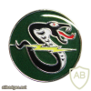 The Second Combat helicopters Squadron ( Black Snake Squadron ) - Squadron- 161