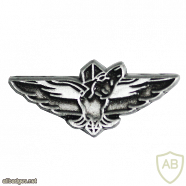 Unidentified badge- 1 img72836