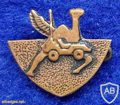 The Camel Reconnaissance img72845