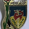 Givati ​​brigade - 84th Brigade - 25th anniversary of givati ​​A memory badge img72874
