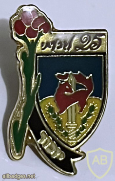 Givati ​​brigade - 84th Brigade - 25th anniversary of givati ​​A memory badge img72874