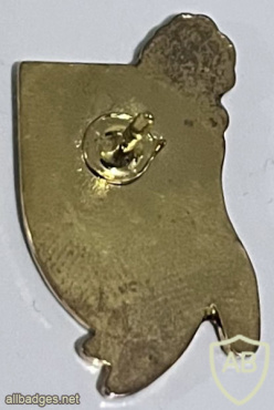 Givati ​​brigade - 84th Brigade - 25th anniversary of givati ​​A memory badge img72875