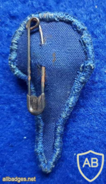 The first parachute wings img72886