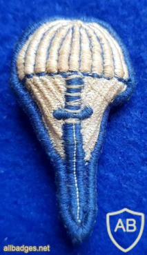 The first parachute wings img72885