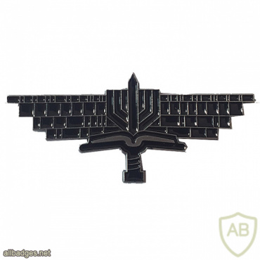 לוחם חטיבת החשמונאים - חטיבה- 613 img72921