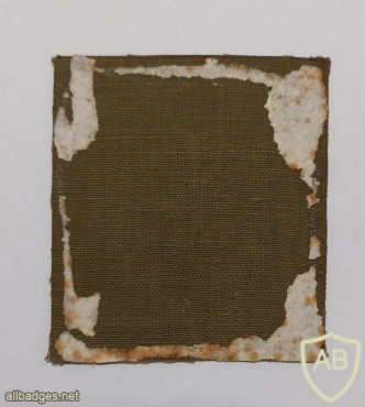 Unidentified shoulder tag img72927